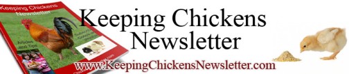 Keeping Chickens Newsletter